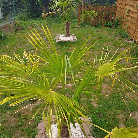 Be Zen ô Bizet Sauna Fauteuil Massant Jardin Apartamento Le Bizet