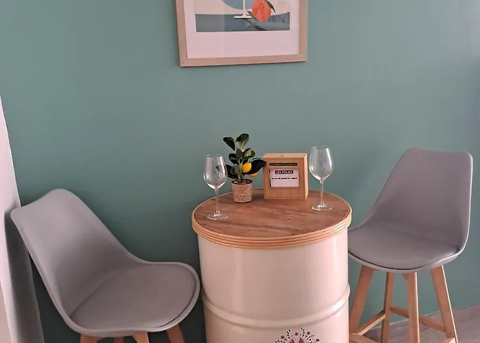 Be Zen O Bizet Sauna Fauteuil Massant Jardin *