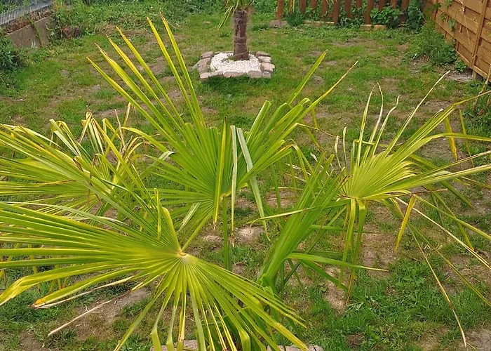 Be Zen O Bizet Sauna Fauteuil Massant Jardin דירה Le Bizet